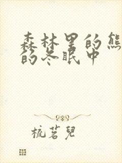 森林里的熊先生的冬眠中