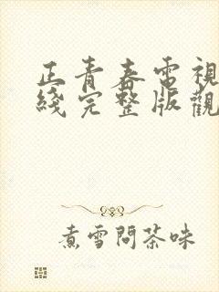 正青春电视剧在线完整版观看剧情