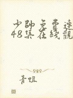 少帅免费连续剧48集在线观看高清版封面