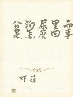 公狗尿里面有血是怎么回事封面