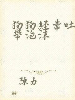 狗狗经常吐黄水带泡沫