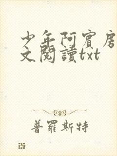 少年阿宾房东全文阅读txt