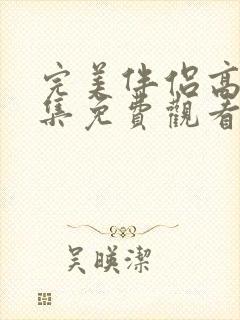 完美伴侣高清全集免费观看