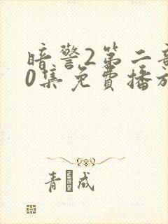 暗警2第二部40集免费播放封面