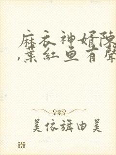 麻衣神婿陈黄皮,叶红鱼有声小说封面