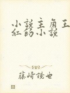 小说主角王平全红的小说封面