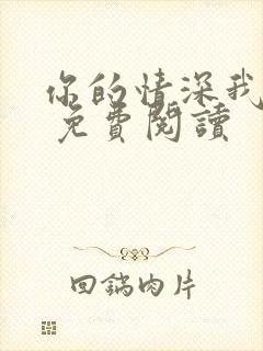 你的情深我不配 免费阅读