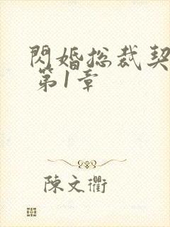 闪婚总裁契约妻 第1章