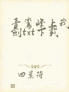 青鸾峰上我有一剑txt下载