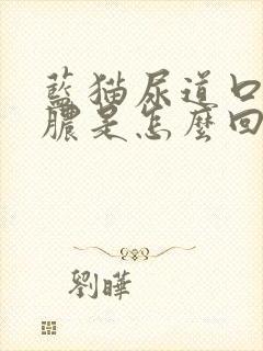 蓝猫尿道口有黄脓是怎么回事