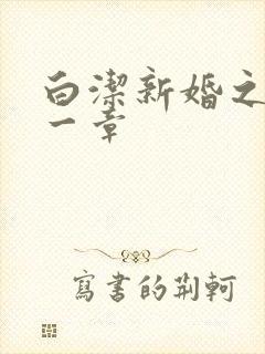 白洁新婚之夜第一章封面