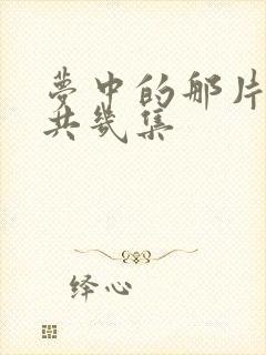 梦中的那片海一共几集