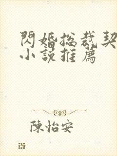 闪婚总裁契约妻小说推荐