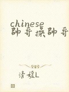 chinese帅哥操帅哥网站封面