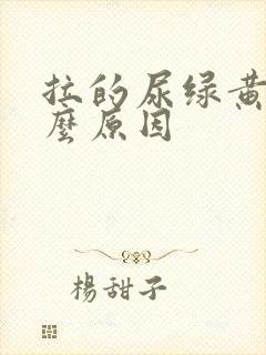 拉的尿绿黄是什么原因