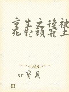 重生之后被渣男死对头宠上天