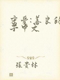 密爱:善良的嫂子中文封面