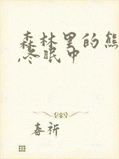 森林里的熊先生,冬眠中