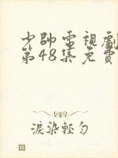 少帅电视剧全集第48集免费