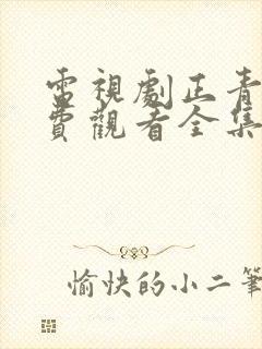 电视剧正青春免费观看全集