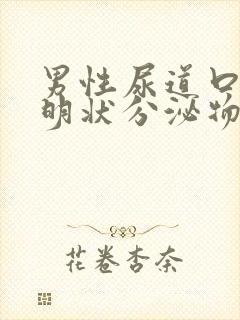 男性尿道口有透明状分泌物