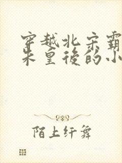 穿越北宋霸占了朱皇后的小说