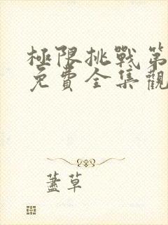 极限挑战第4季免费全集观看