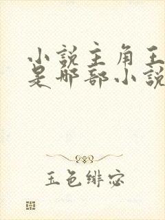 小说主角王斌 是哪部小说