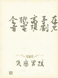 全职高手在线观看电视剧免费封面