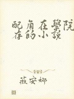 配角在学院中生存的小说