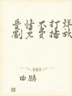 爱情不打烊连续剧免费播放