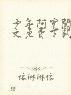 少年阿宾阅读全文免费下载封面