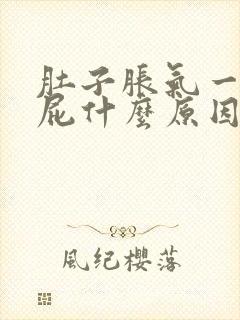 肚子胀气一直放屁什么原因封面