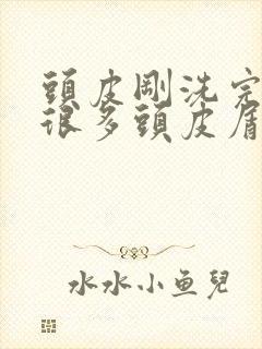 头皮刚洗完头就很多头皮屑