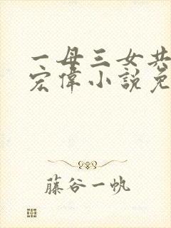 一母三女共一婿宏伟小说免费阅读