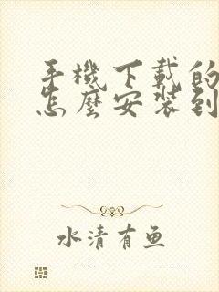 手机下载的软件怎么安装到电视上