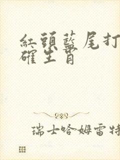 红头蓝尾打一准确生肖