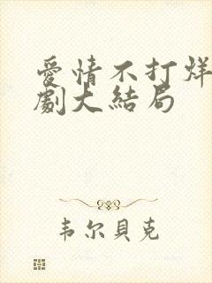 爱情不打烊电视剧大结局