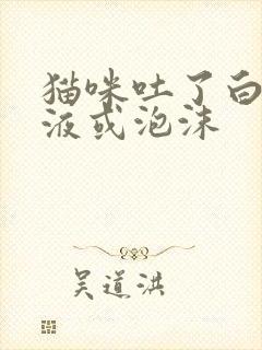 猫咪吐了白色黏液或泡沫