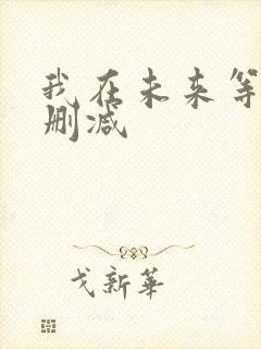 我在未来等你未删减