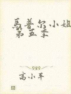 马普尔小姐探案 第五季封面