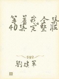 等着我全集播放40集完整版