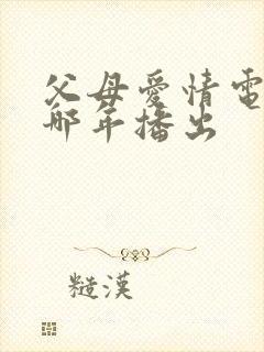 父母爱情电视剧哪年播出封面