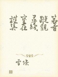 护宝寻踪第36集在线观看