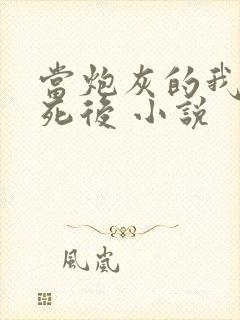 当炮灰的我替身死后 小说封面