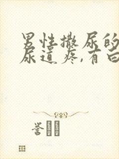 男性撒尿的时候尿道疼,有白色液体