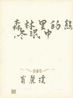 森林里的熊先生 ,冬眠中