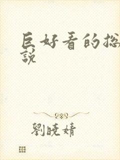 巨好看的总裁小说封面