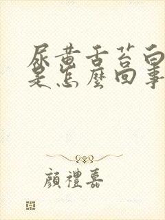 尿黄舌苔白口苦是怎么回事