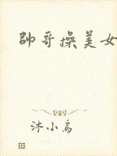 帅哥操美女网站